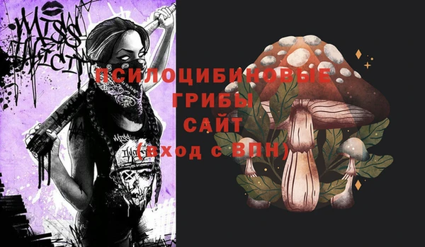 метамфетамин Богородицк