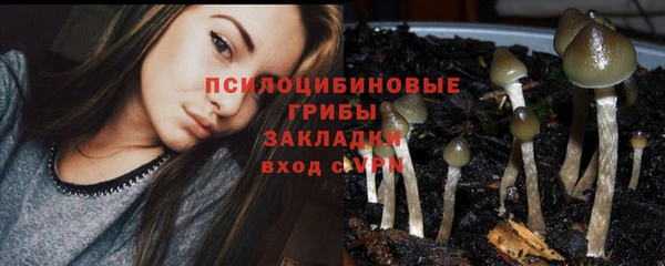 метамфетамин Богородицк