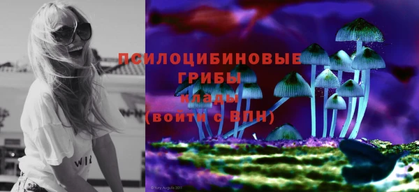 метамфетамин Богородицк