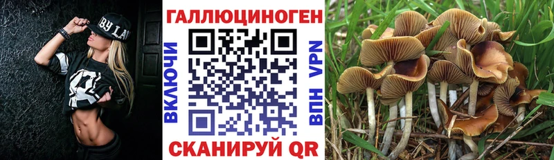 Псилоцибиновые грибы Magic Shrooms Очёр